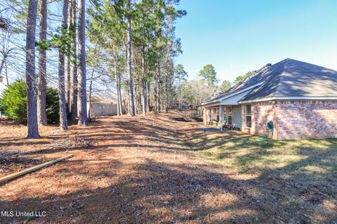 203 Glensview Cv, Brandon, MS 39047 photo 38