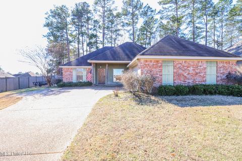 203 Glensview Cv, Brandon, MS 39047 photo 39