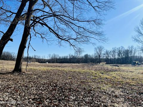 4560 Rowsey Crossing Dr, Hernando, MS 38632 photo 3