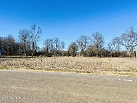 4560 Rowsey Crossing Dr, Hernando, MS 38632