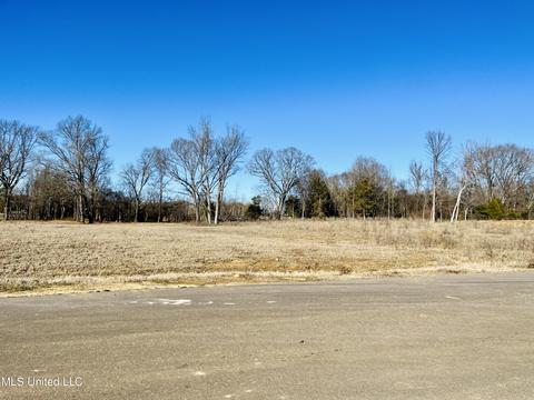 4560 Rowsey Crossing Dr, Hernando, MS 38632 photo 2