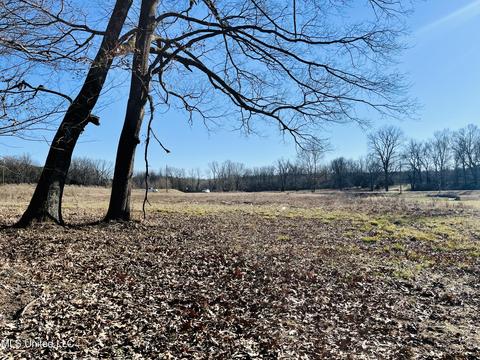 4560 Rowsey Crossing Dr, Hernando, MS 38632 photo 4