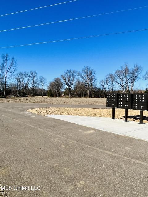 4560 Rowsey Crossing Dr, Hernando, MS 38632 photo 6