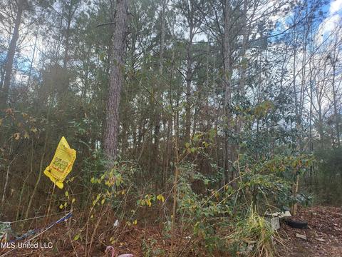 0 Jackson, Magnolia, MS 39652