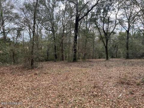 Faulkner Road, Lucedale, MS 39452