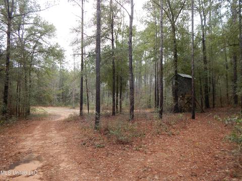 169 Cedar Rdg, Lucedale, MS 39452 photo 29