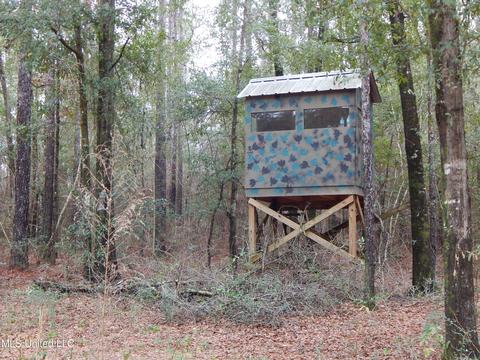 169 Cedar Rdg, Lucedale, MS 39452 photo 30