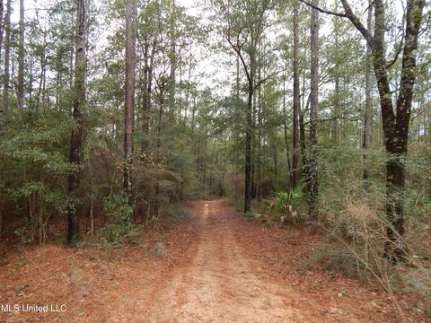 169 Cedar Rdg, Lucedale, MS 39452 photo 28