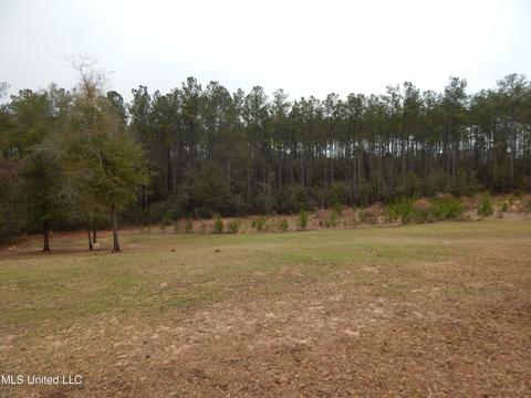 169 Cedar Rdg, Lucedale, MS 39452 photo 31