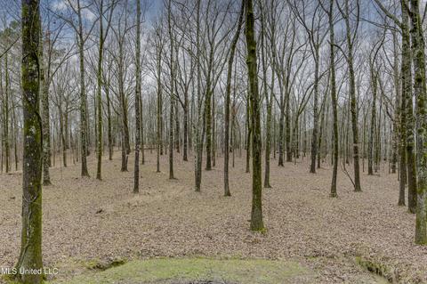 301 Warwick Rd, Clinton, MS 39056 photo 64