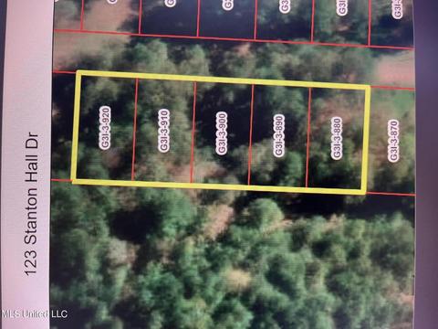 123 Stanton Hall Dr, Florence, MS 39073