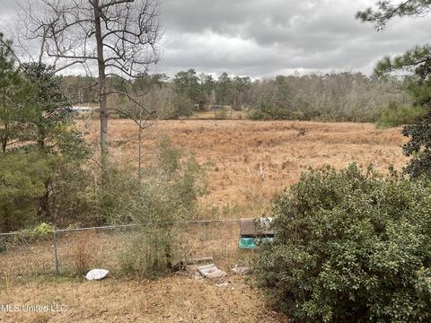 39 Lakeview Dr, Wiggins, MS 39577 photo 20