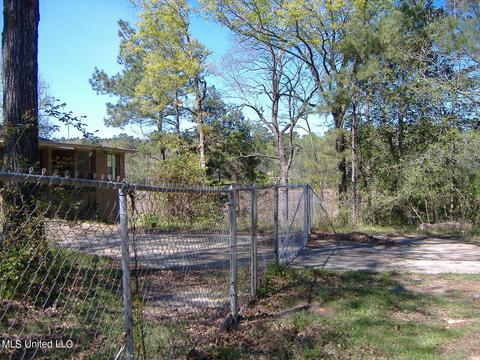 39 Lakeview Dr, Wiggins, MS 39577 photo 28