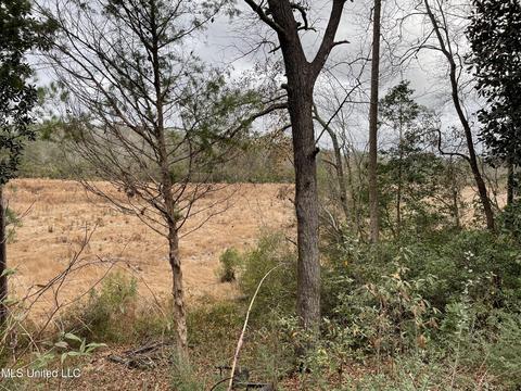 39 Lakeview Dr, Wiggins, MS 39577 photo 26