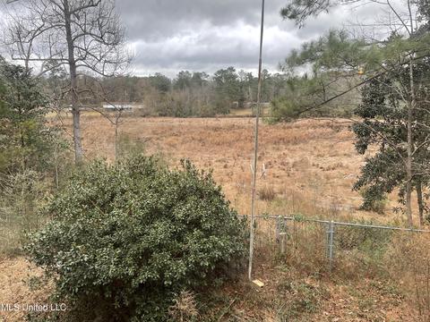 39 Lakeview Dr, Wiggins, MS 39577 photo 19