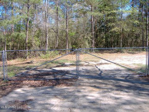 39 Lakeview Dr, Wiggins, MS 39577 photo 30