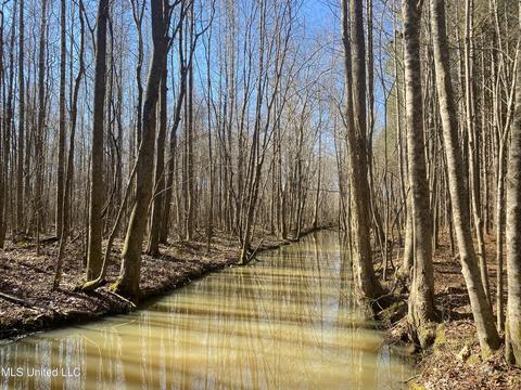 Off County Road 243, Etta, MS 38627 photo 2