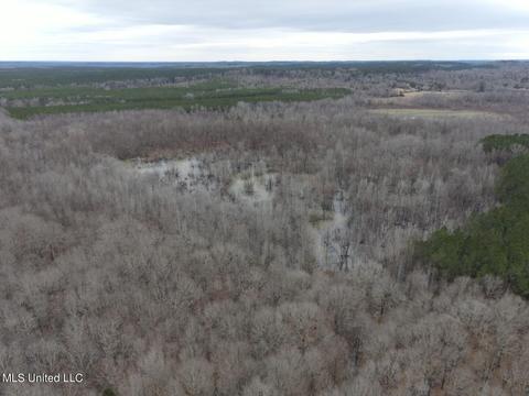 Off County Road 243, Etta, MS 38627 photo 19