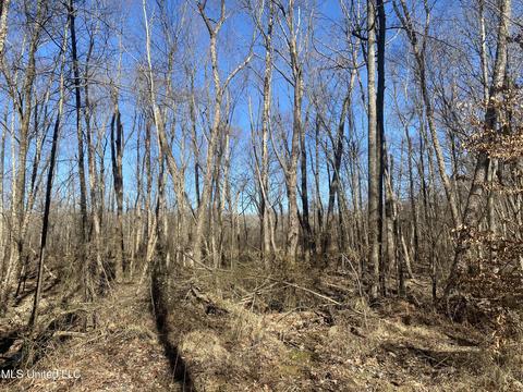 Off County Road 243, Etta, MS 38627 photo 8