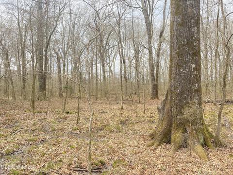 Off County Road 243, Etta, MS 38627 photo 14