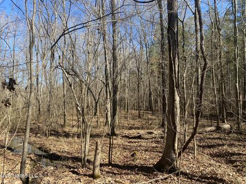 Off County Road 243, Etta, MS 38627 photo 11