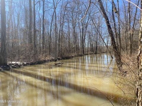 Off County Road 243, Etta, MS 38627 photo 7