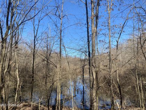 Off County Road 243, Etta, MS 38627 photo 13