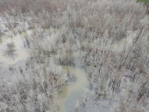 Off County Road 243, Etta, MS 38627 photo 17