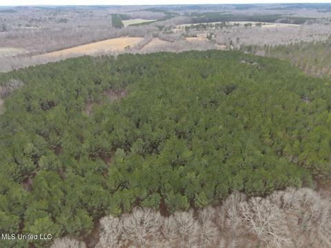 Off County Road 243, Etta, MS 38627 photo 15