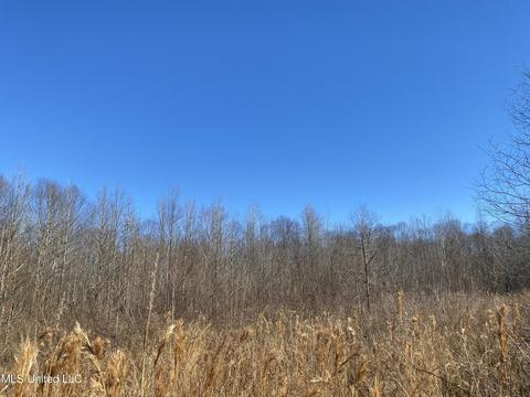 Off County Road 243, Etta, MS 38627 photo 6