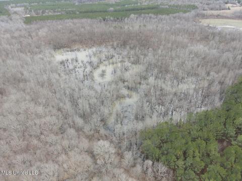 Off County Road 243, Etta, MS 38627 photo 16