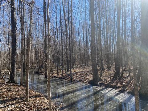 Off County Road 243, Etta, MS 38627 photo 5