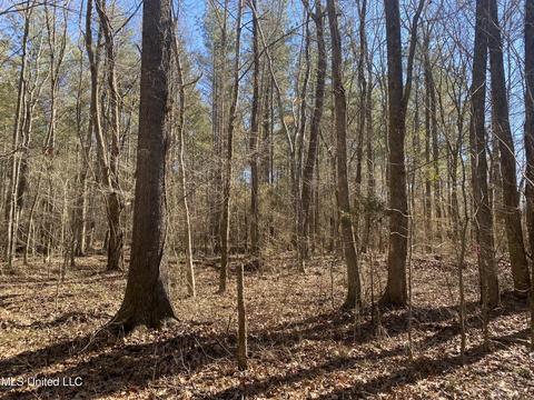 Off County Road 243, Etta, MS 38627 photo 10
