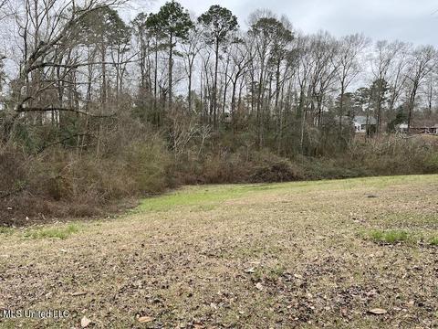 724 W Border Ave, Wiggins, MS 39577 photo 19