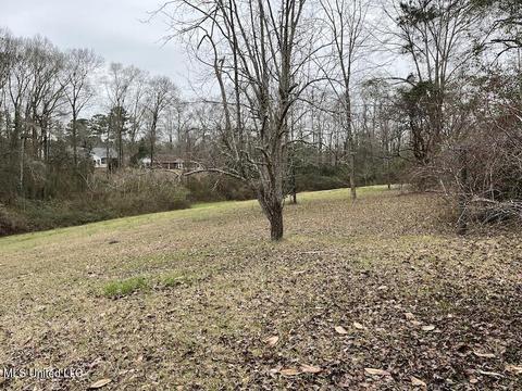 724 W Border Ave, Wiggins, MS 39577 photo 18