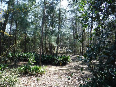 7846 Moanalua Way, Diamondhead, MS 39525