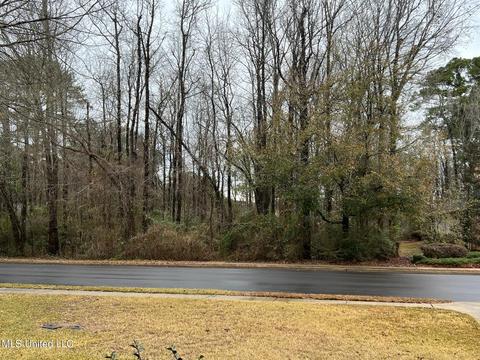 304 Thorngate Dr, Brandon, MS 39042 photo 42