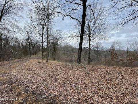 140 Welch Rd, Sarah, MS 38665 photo 2