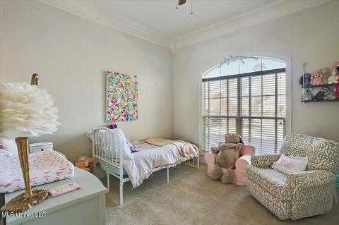 207 Legacy Dr, Brandon, MS 39042 photo 23