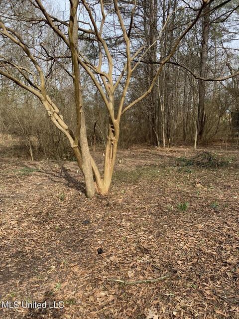 634 E Adams St, Kosciusko, MS 39090 photo 11