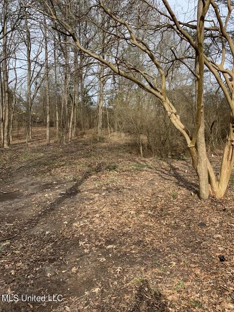 634 E Adams St, Kosciusko, MS 39090 photo 9