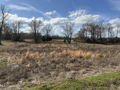 3371 Sherri Cv, Hernando, MS 38632