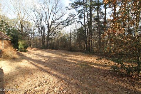 320 E Green T Lk, Hernando, MS 38632 photo 34