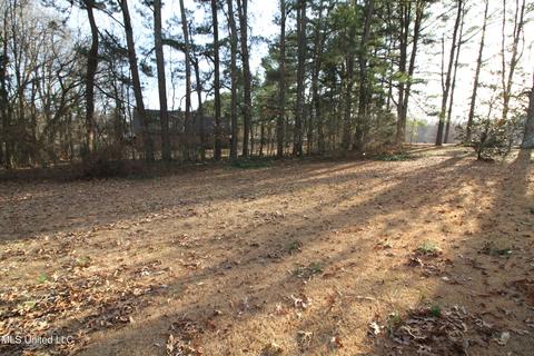 320 E Green T Lk, Hernando, MS 38632 photo 33