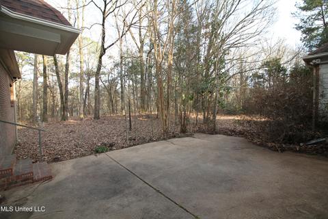 320 E Green T Lk, Hernando, MS 38632 photo 32