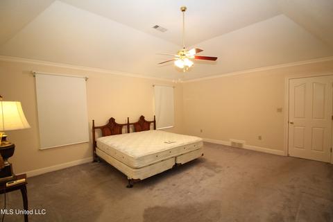 320 E Green T Lk, Hernando, MS 38632 photo 16