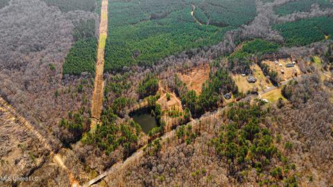 10247 Old Jackson Rd, Forest, MS 39074 photo 1