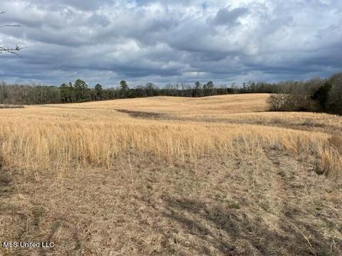 3228 King Rd, Forest, MS 39074 photo 3