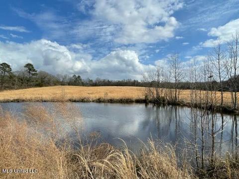 3228 King Rd, Forest, MS 39074 photo 1