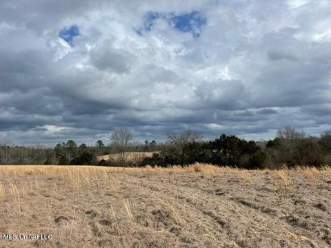 3228 King Rd, Forest, MS 39074 photo 2